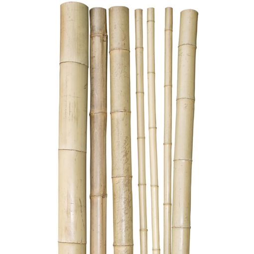 Bâton en bambou Windhager 250x4,5-6 2