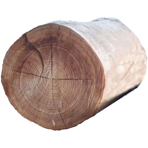 Banc en tronc d'arbre T&J 2