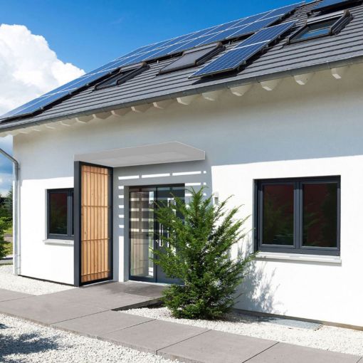 Paroi latérale gutta  BS 2