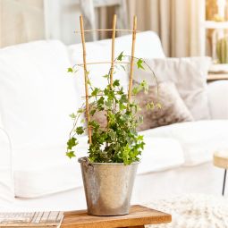 Treillis en bambou Windhager support 3