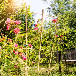 Treillis en bambou Windhager support 4