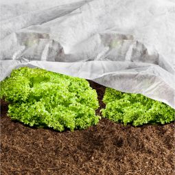 Voile de croissance Windhager 10x1,5 4