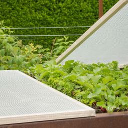 Tissu de treillis pour serre 6