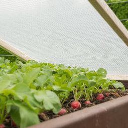 Tissu de treillis pour serre 5