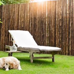  Brise-vue en bambou Windhager 3