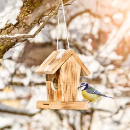 Windhager Mangeoire pour oiseaux Cottage 3