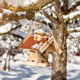 Windhager Mangeoire pour oiseaux Gaisberg 3