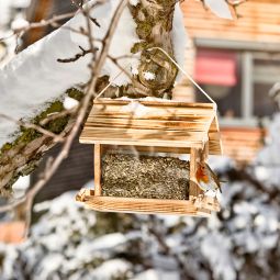 Windhager Mangeoire pour oiseaux Grossvenediger 3