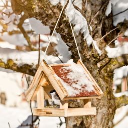 Windhager Mangeoire pour oiseaux Untersberg 3