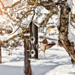 Windhager Mangeoire pour oiseaux mélange 3