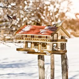 Windhager Mangeoire pour oiseaux Landhaus 3