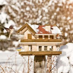 Windhager Mangeoire pour oiseaux Landhaus 3