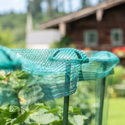 Tuteur plante avec filet Windhager 4