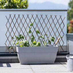 Treillis en osier Windhager support 6