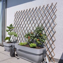 Treillis en osier Windhager support 8