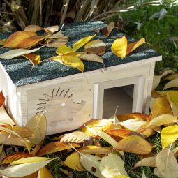 Maison de hérisson Windhager abri 4