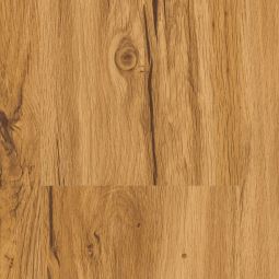 Parador vinyle Basic 30 chêne 4