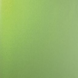 Store pare-vue Roto vert pomme 3