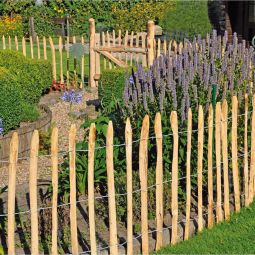 Portillon de clôture en piquets 3