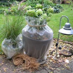 Film à bulles NOOR 3