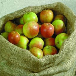 Sac de jute NOOR naturel 4