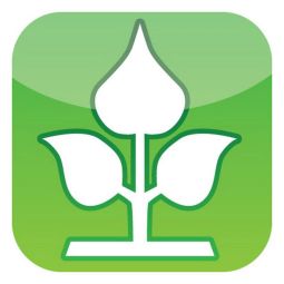 Toile de jute NOOR 5