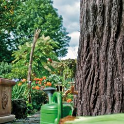 Récupérateur d'eau 3P Evergreen granit 4