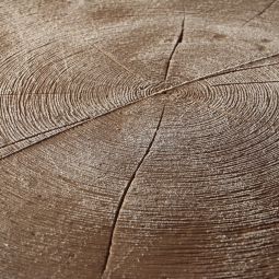 Récupérateur d'eau 3P Evergreen granit 5