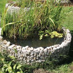 Bellissa gabion étang surélevée  6