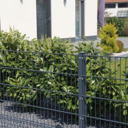 Kit grillage rigide double fils, 4