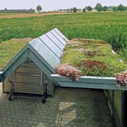 Bauder Paquet standard toiture verte 6