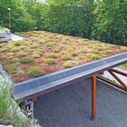 Bauder Paquet standard toiture verte 5