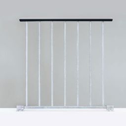 Garde-corps pour escalier extérieur DOLLE 3