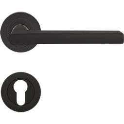 Poignée de porte-garniture de  4