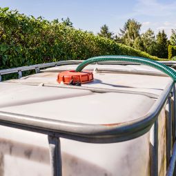 Cuve de récupération d'eau IBC 3