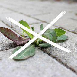 Profil de joint ferax steinfix 6