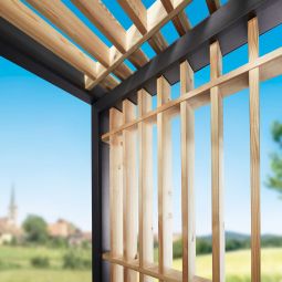 Paroi latérale gutta  BS 9