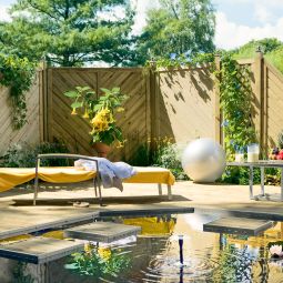 TraumGarten Panneau bois carré Brise-vue 6