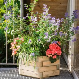 Insert en pvc TraumGarten pour 3