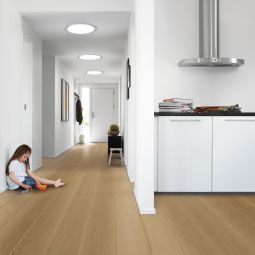 Velux puit de lumière TWR 3