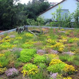 ZinCo Toit vert Garage Pack 8