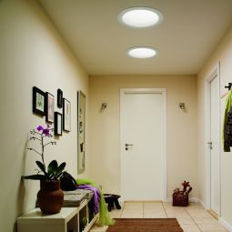 VELUX Accessoire d'éclairage ZTL avec ampoule (LED)