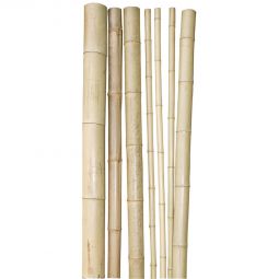 Bâton en bambou Windhager 250x4,5-6 4