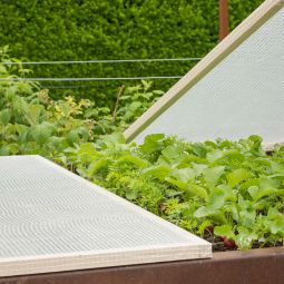 Tissu de treillis pour serre 6