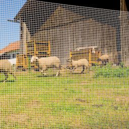 Tissu à mailles blanc plastique 4