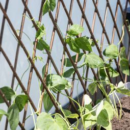 Treillis en osier Windhager support 3