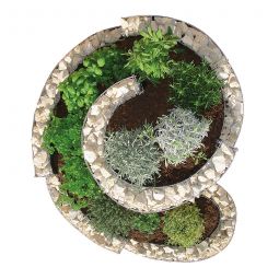 Petite spirale d'herbes bellissa gabion 3