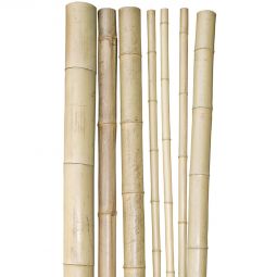 Bâton en bambou Windhager 250x4,5-6 cm piquets de plantation piquets de bambou robuste pour soutenir les plantes dans le jardin