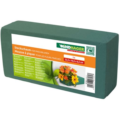 Mousse florale Windhager 22,5x10,5x6,5 cm 2