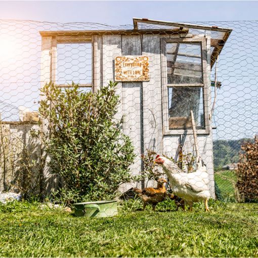 Treillis Hexag Acheter - Grillage Métallique